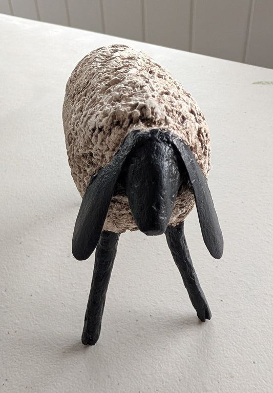 Hank the Sheep