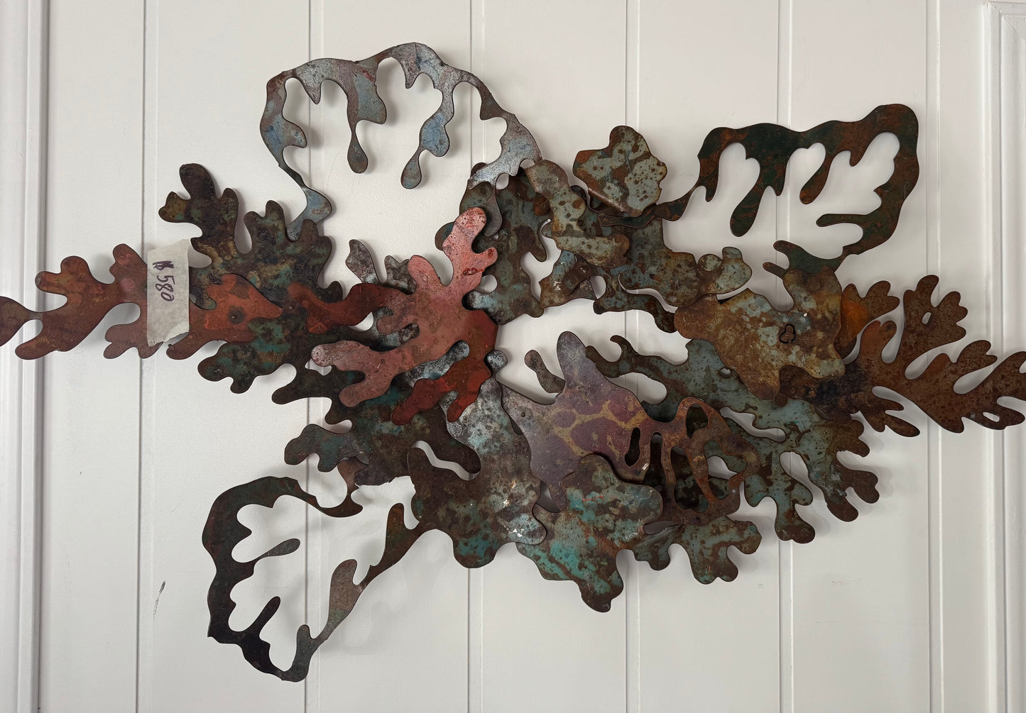 Lichen 4