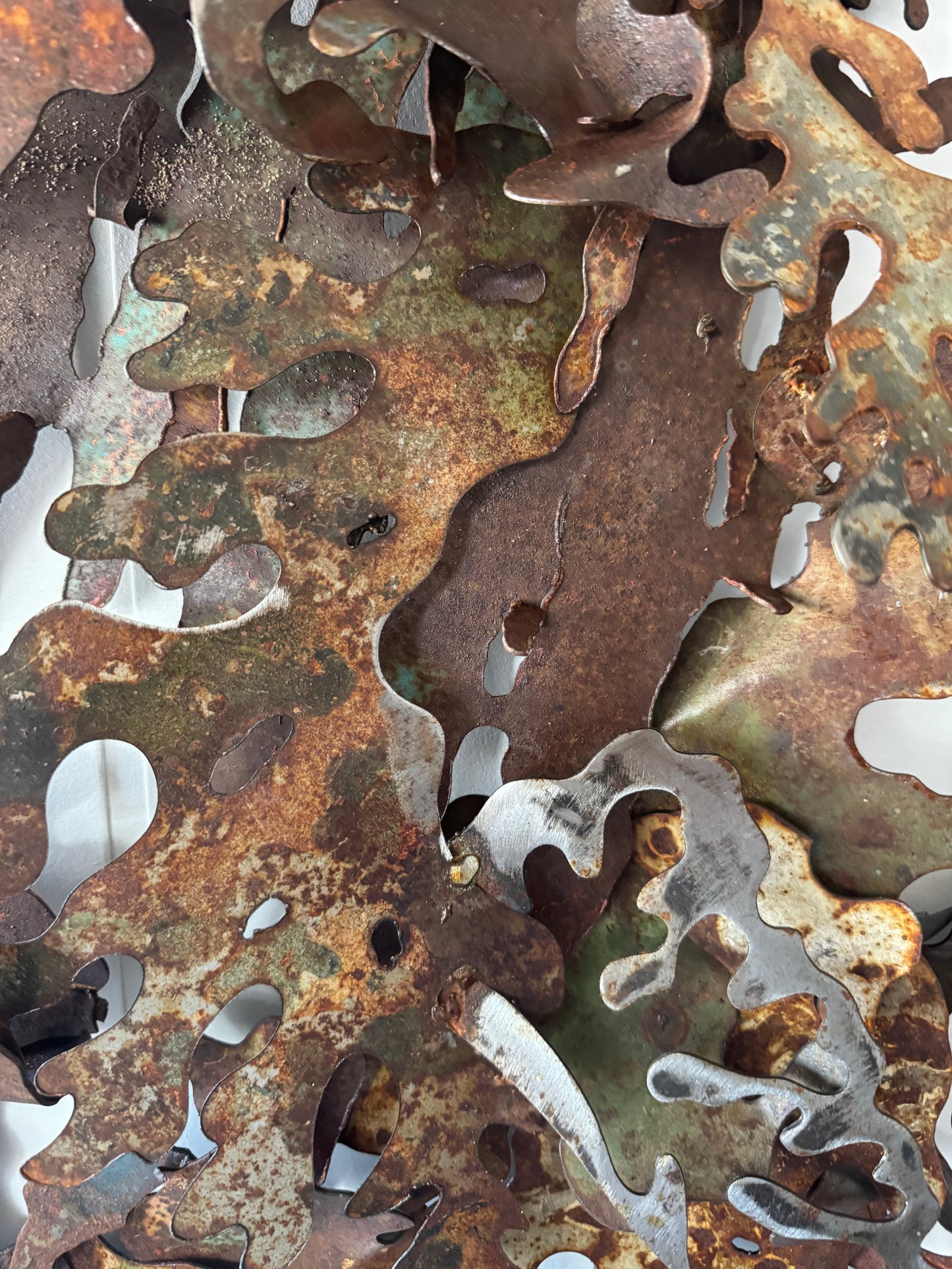 Lichen # 6