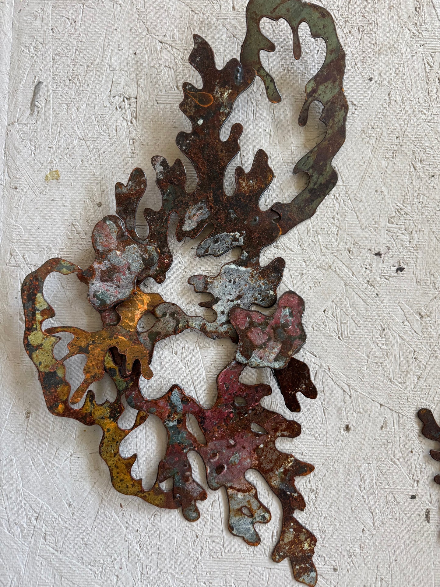 Lichen SMALL