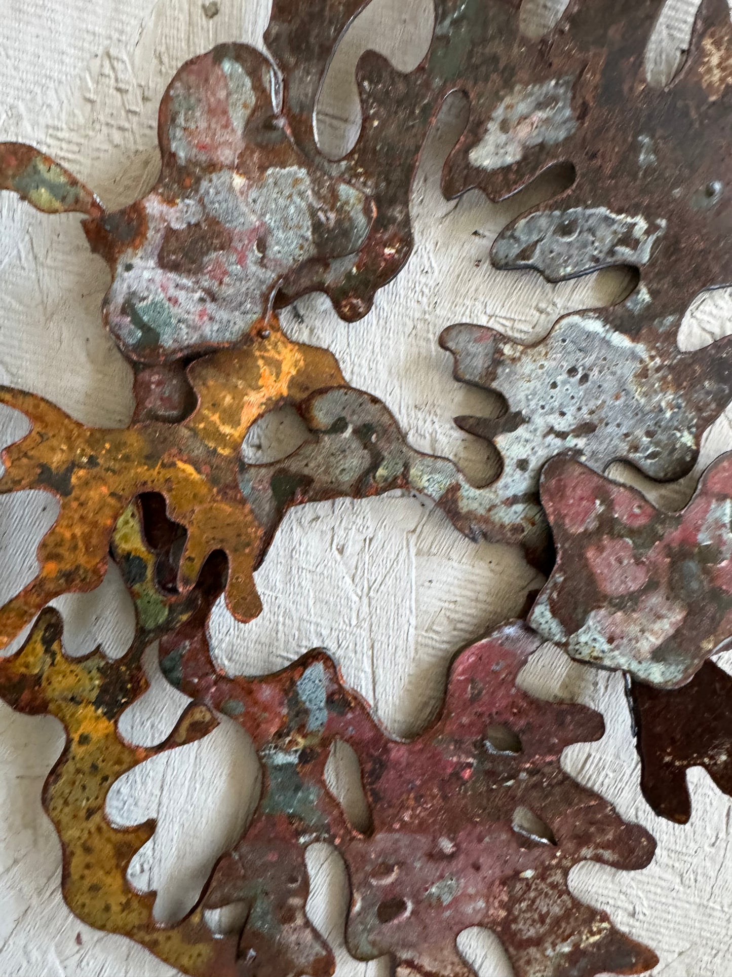 Lichen SMALL