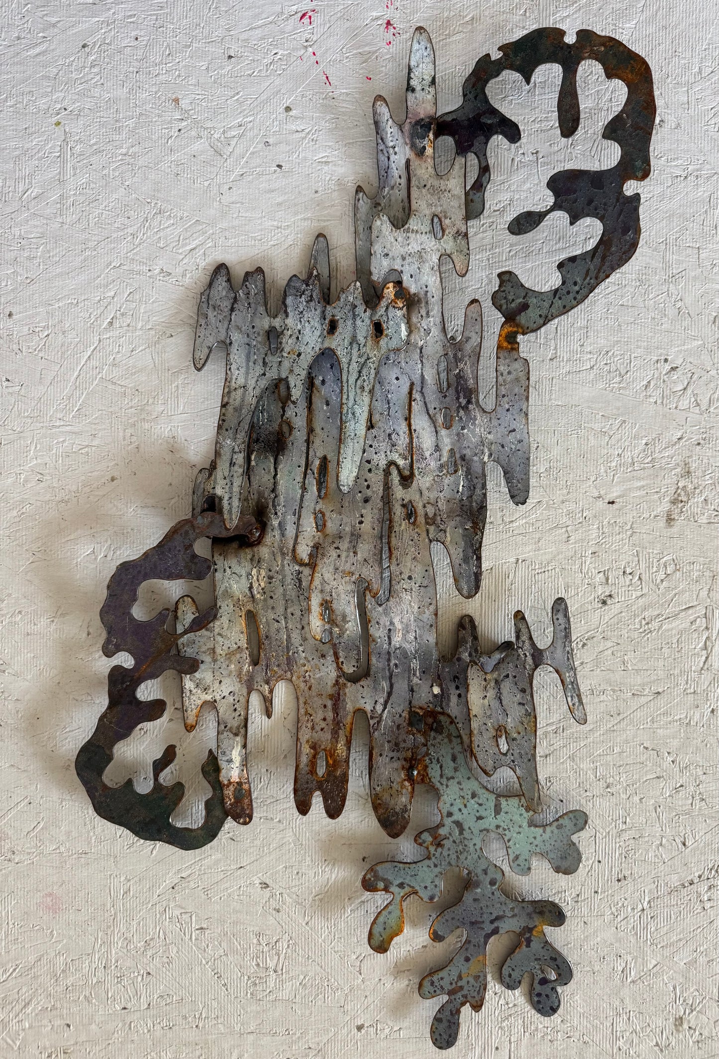 Lichen # 5