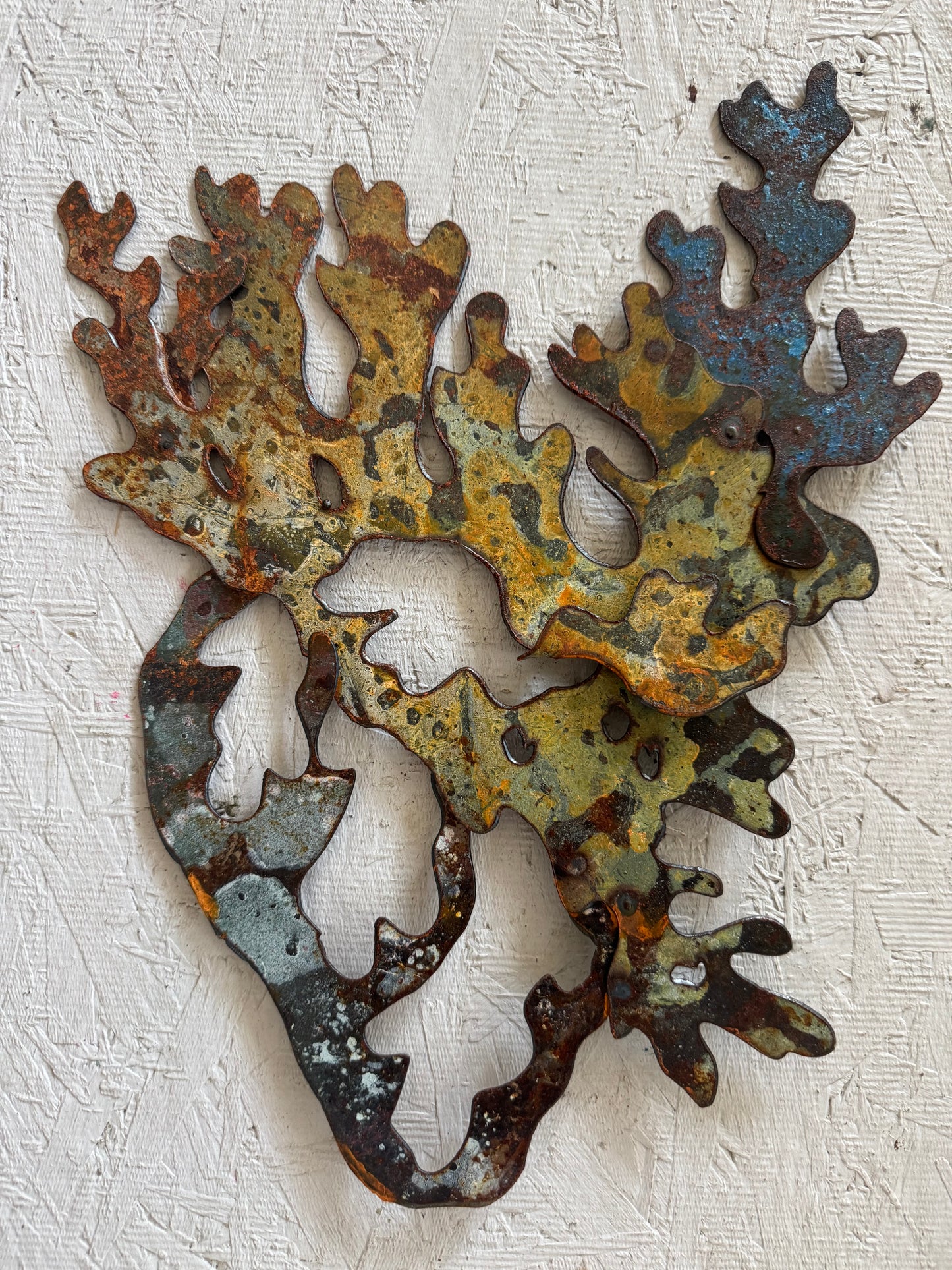 Lichen SMALL