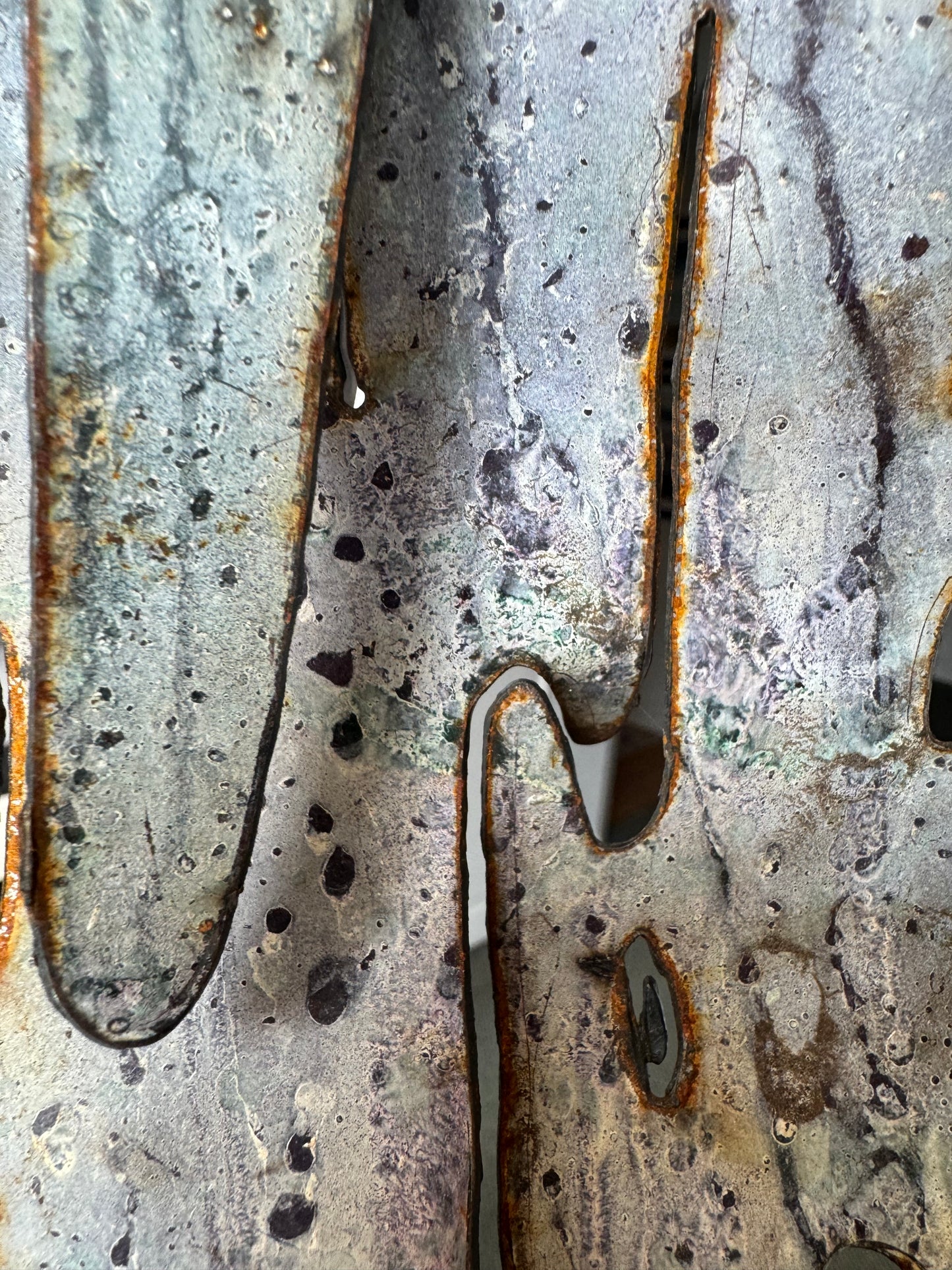 Lichen # 5