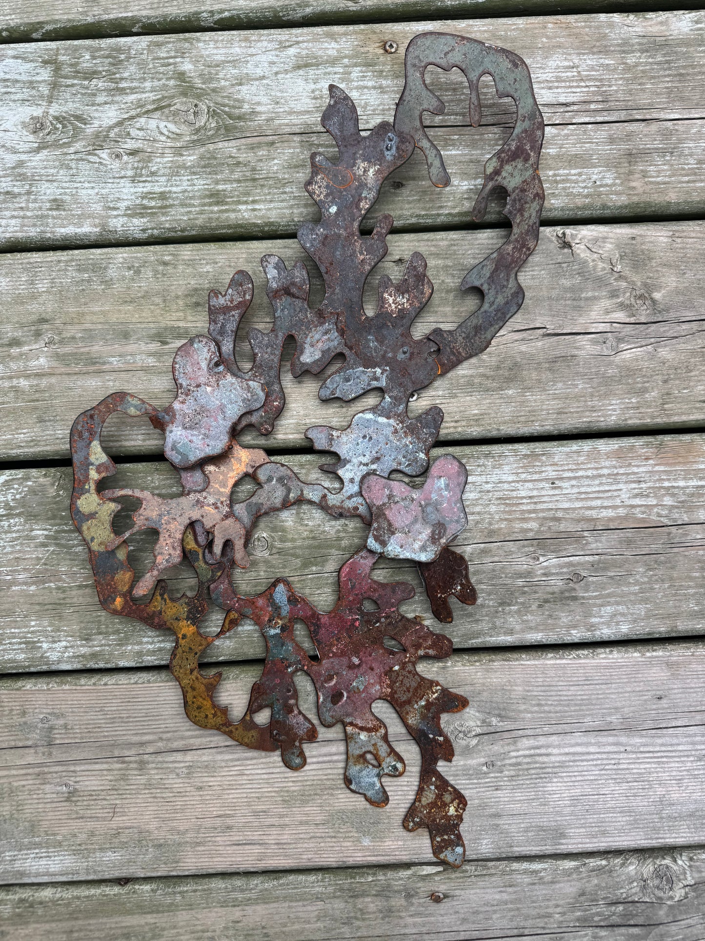 Lichen SMALL
