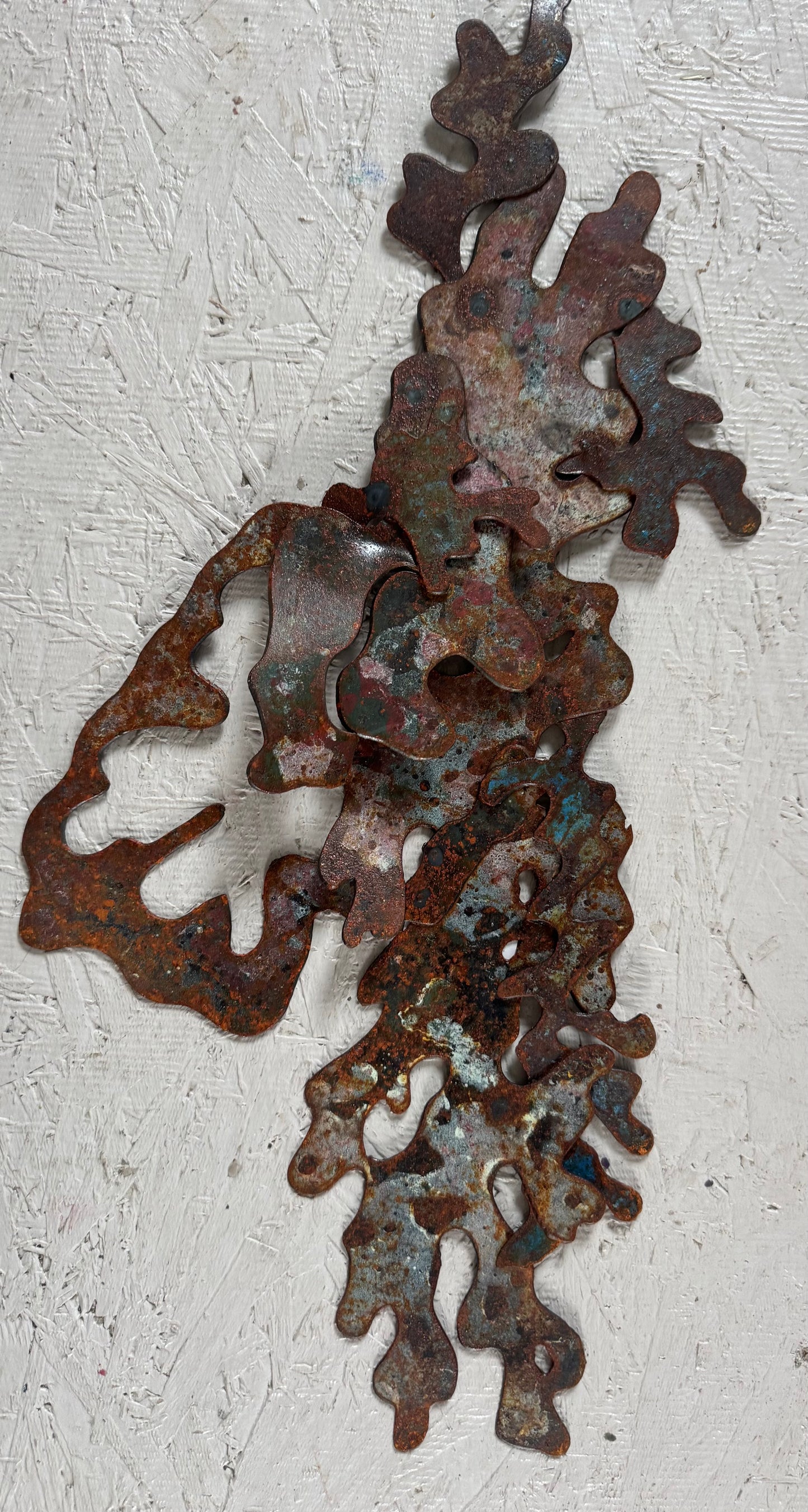 Lichen SMALL