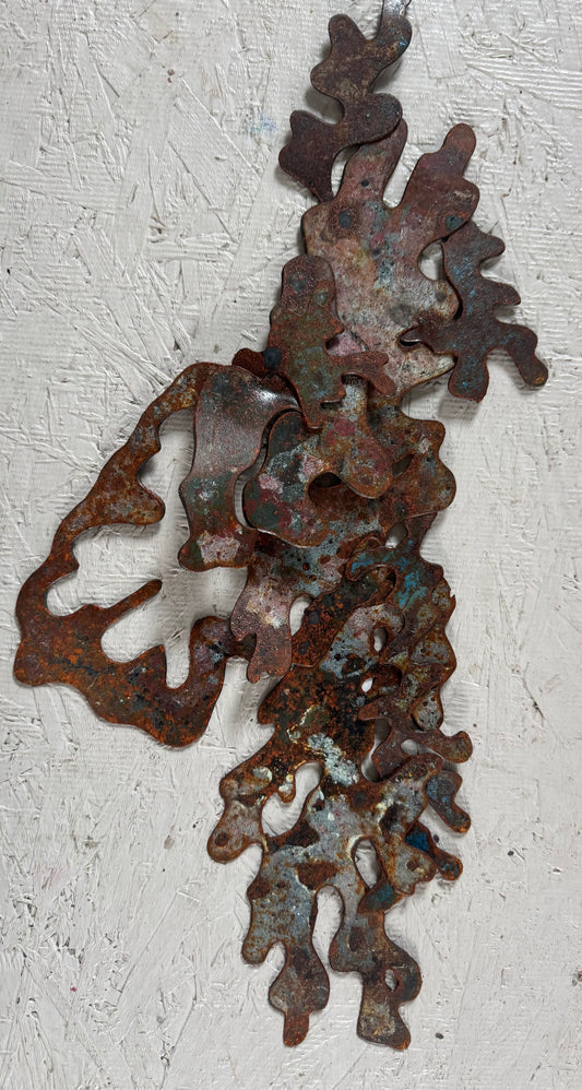 Lichen SMALL