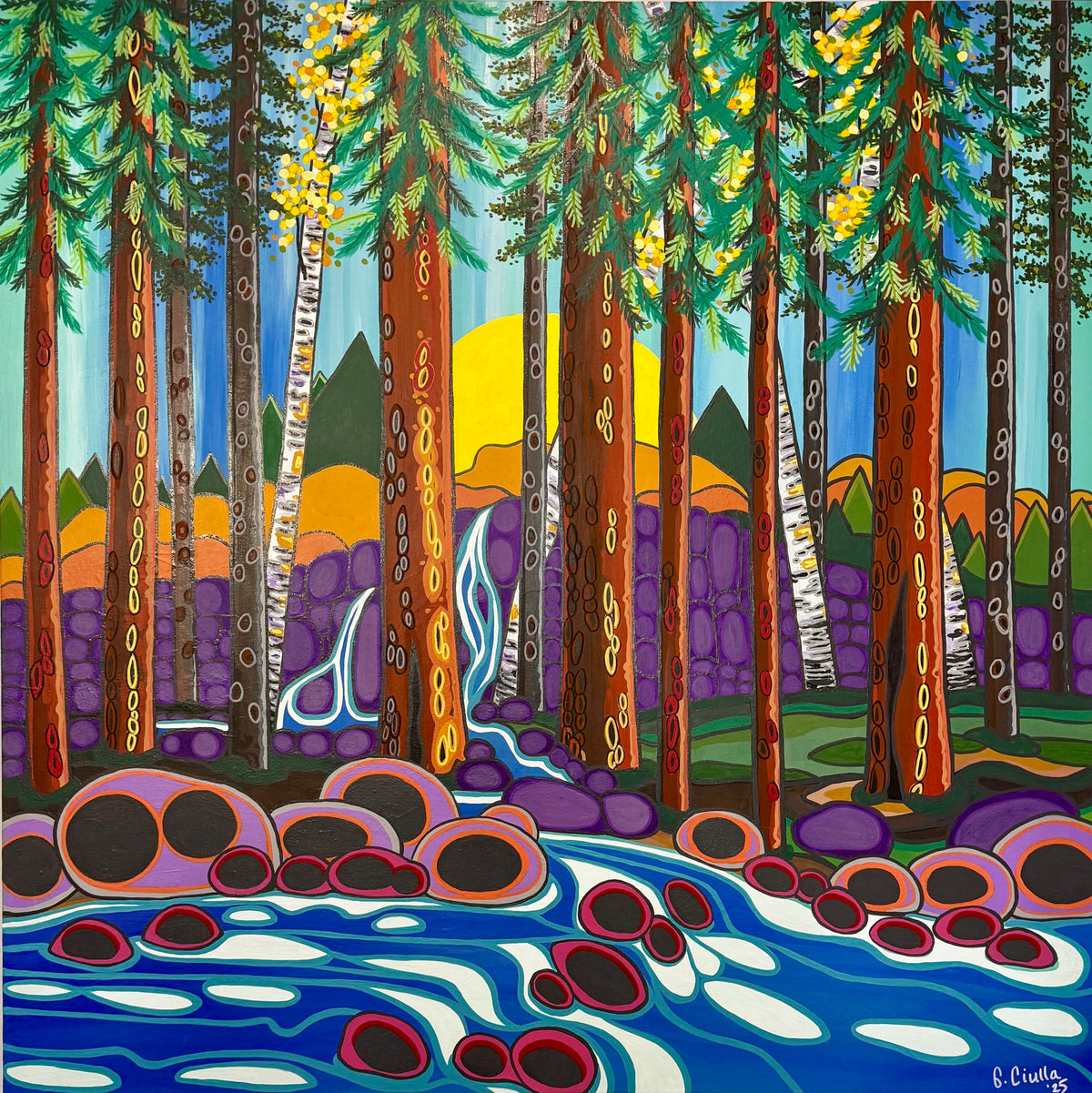 Purple Shadows at Sunrise