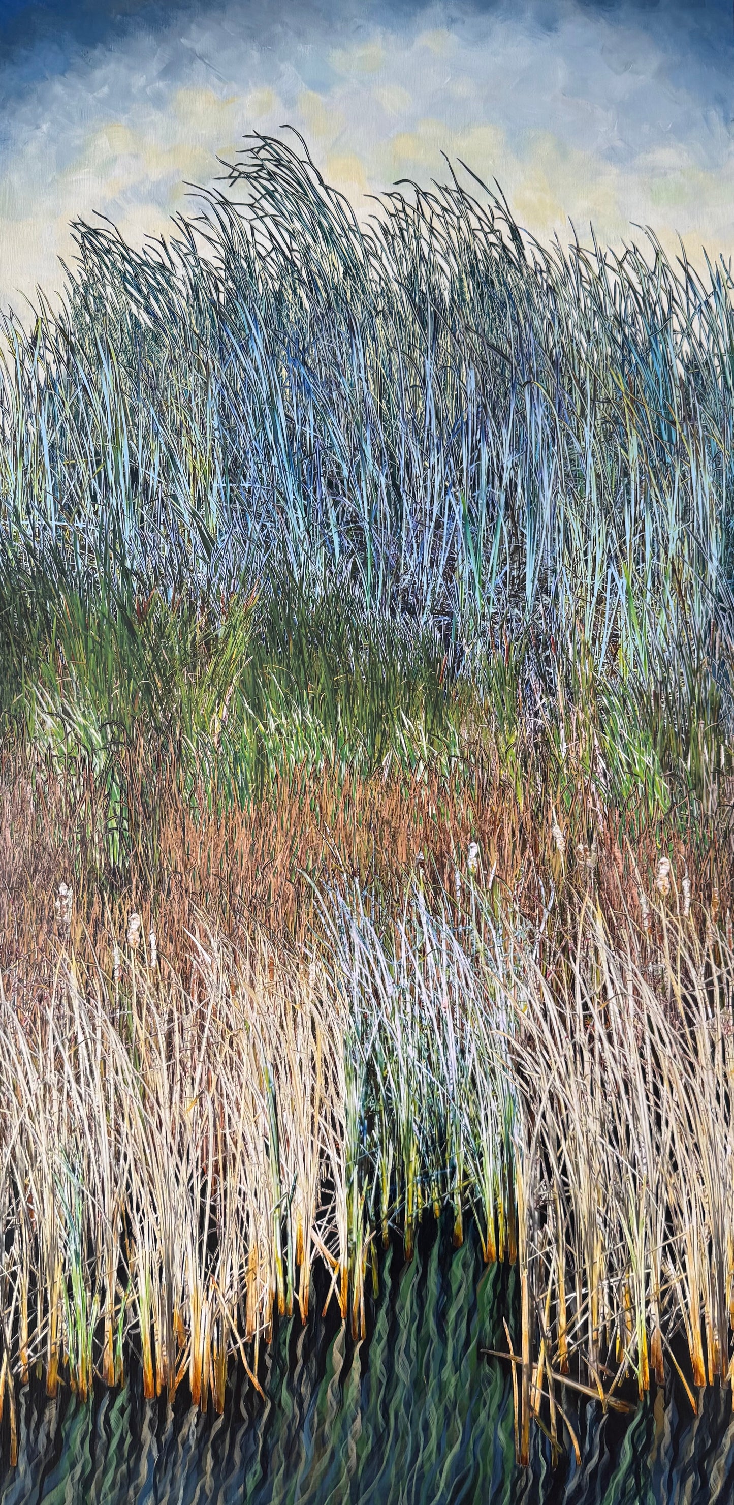 Seasons of Marsh Life