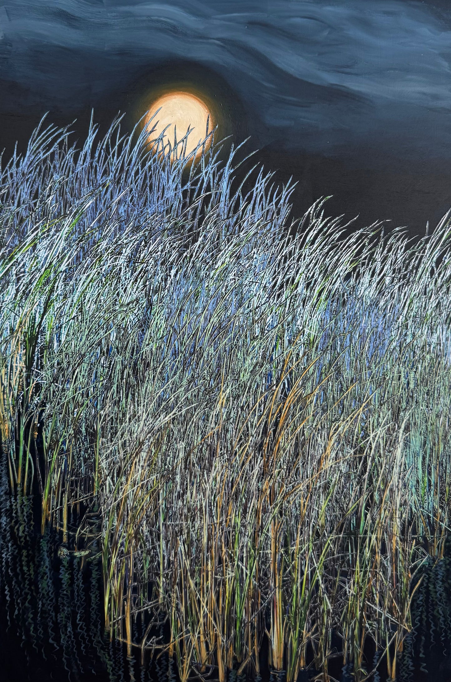 Marsh in Moonlight