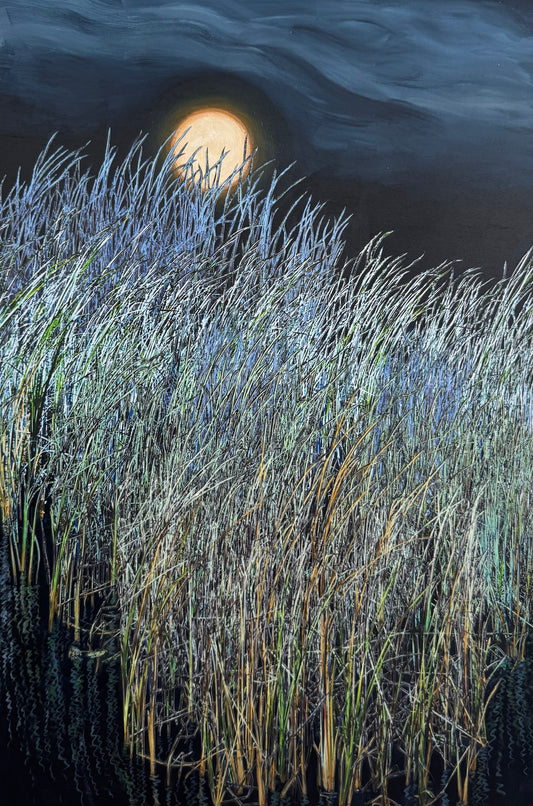 Marsh in Moonlight