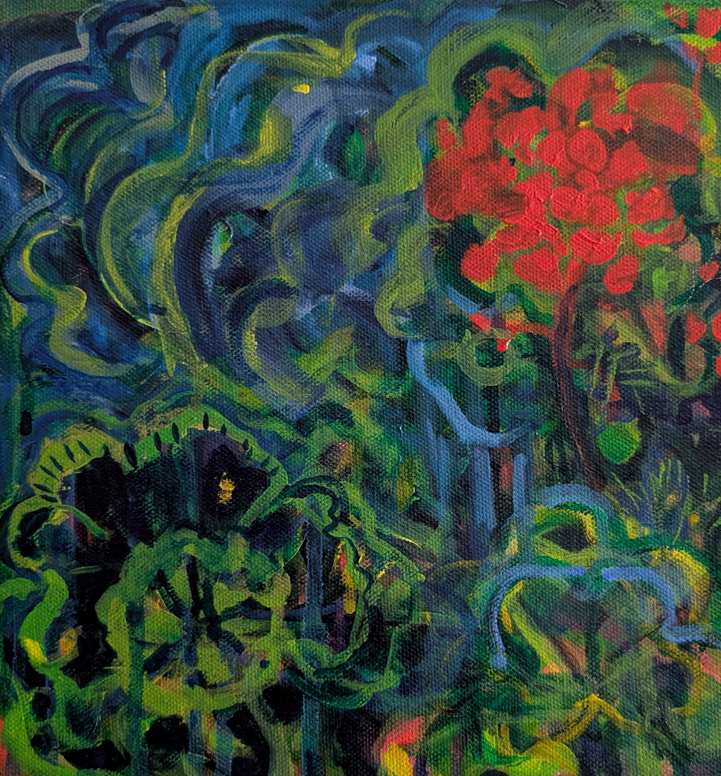 Geranium Study