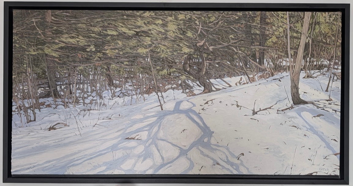 Winter Shadows