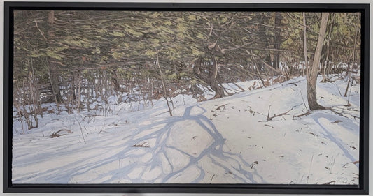 Winter Shadows
