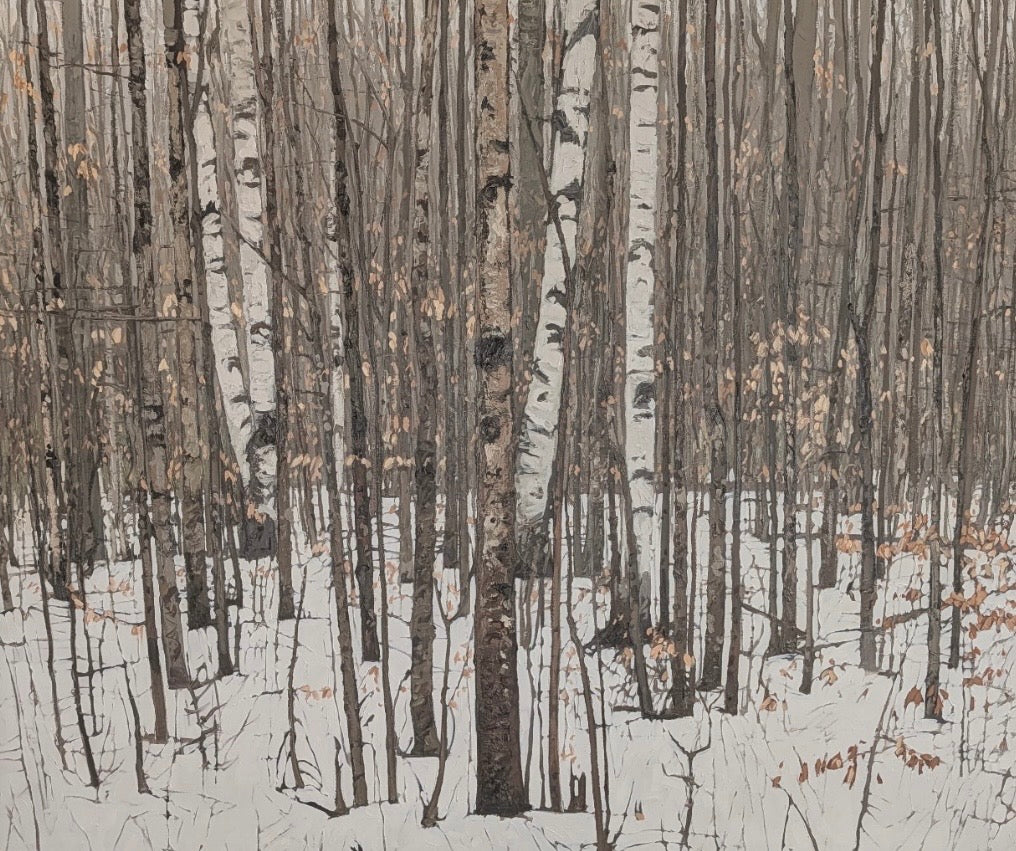 Winter Birch