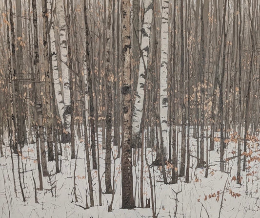 Winter Birch