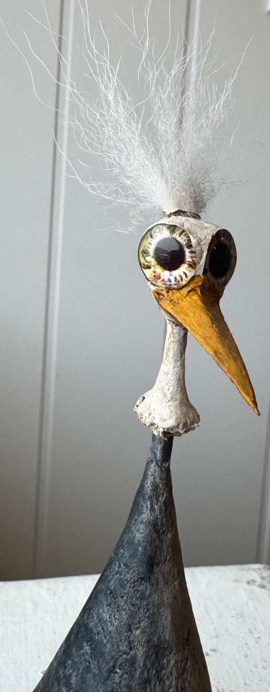 Jim: Big Beaked Bird