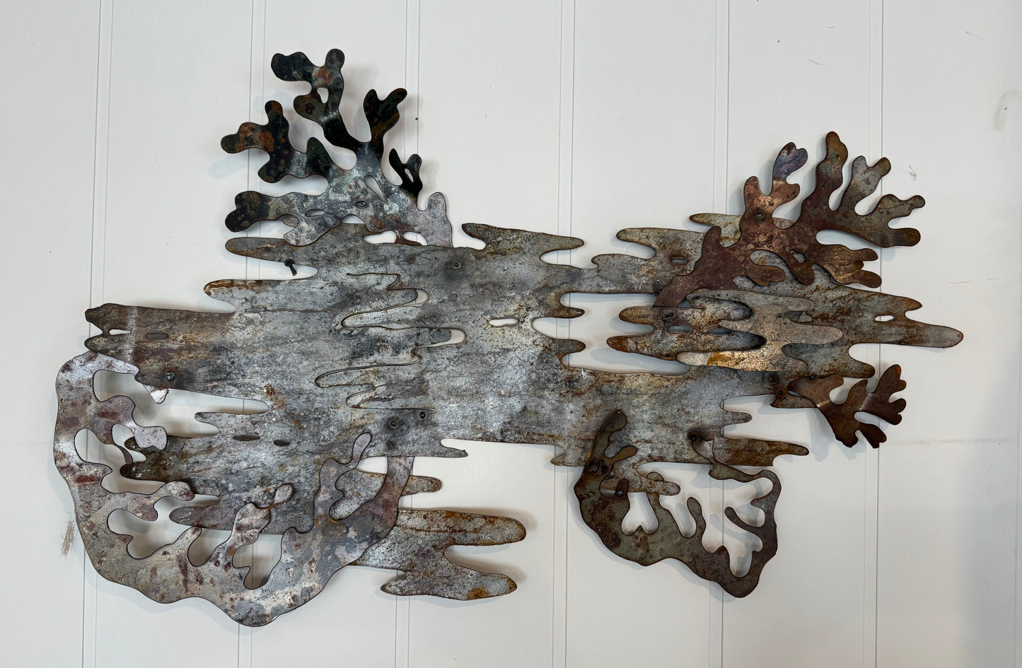 Lichen 2