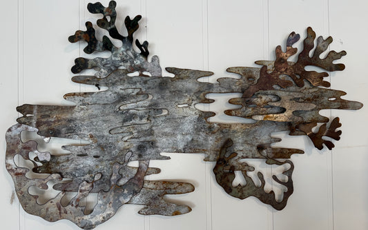 Lichen 2
