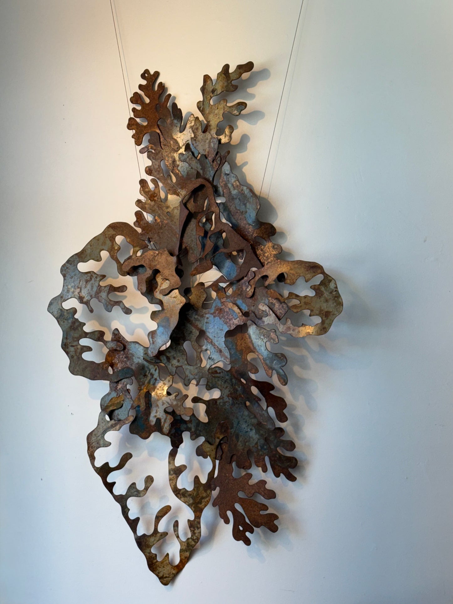 Lichen 1