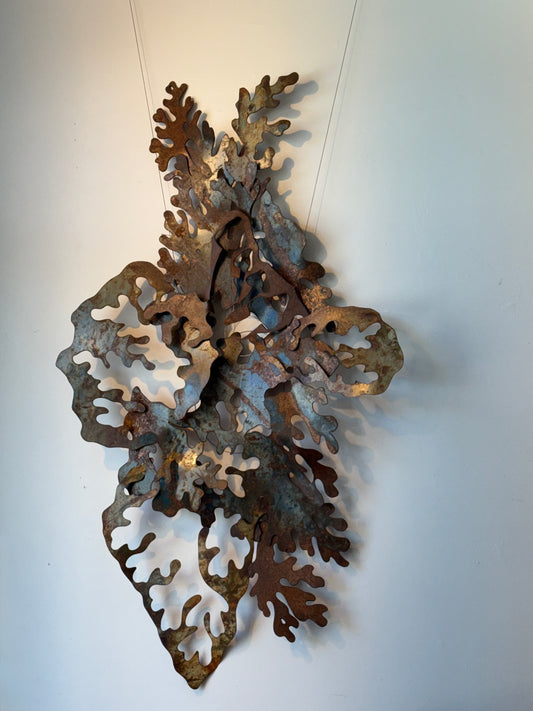 Lichen 1