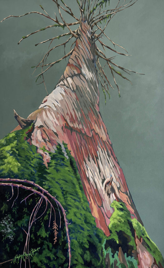 Guardian
