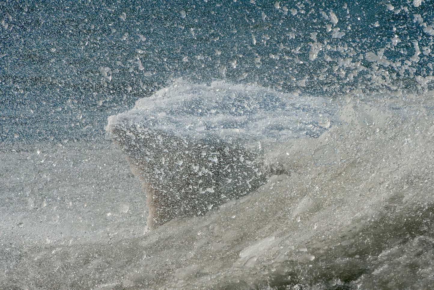 Photography Workshop