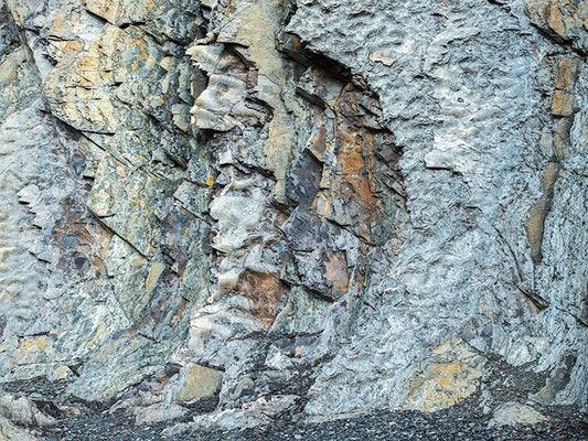 Sequence of Fossils