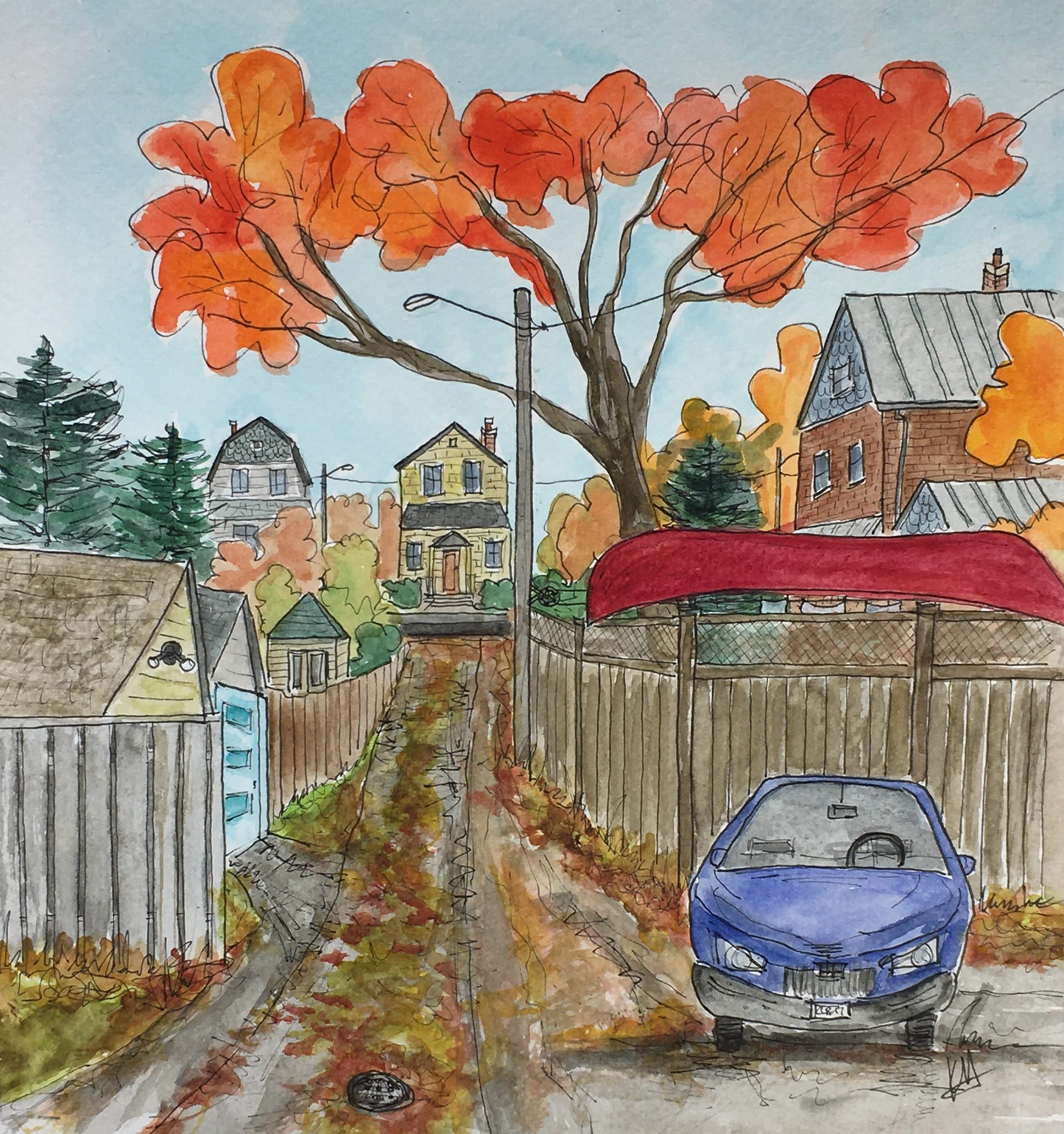 The Avenues in Autumn
