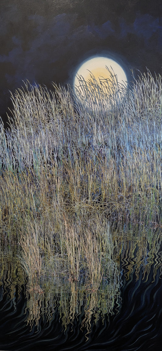 Imagine the Marsh Light