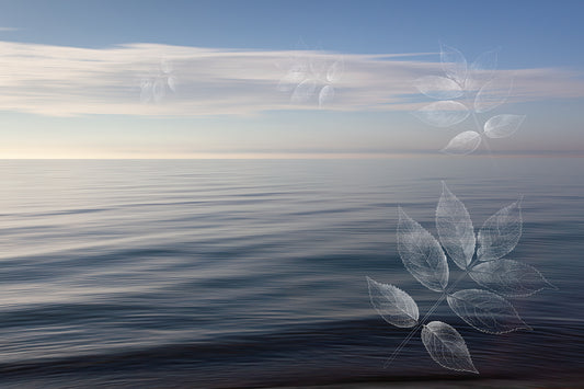 Impermanence #12