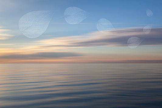 Impermanence #13