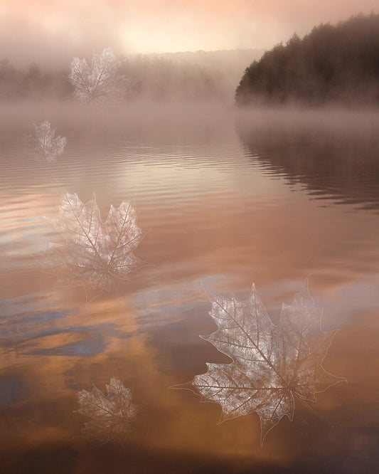 Impermanence #9