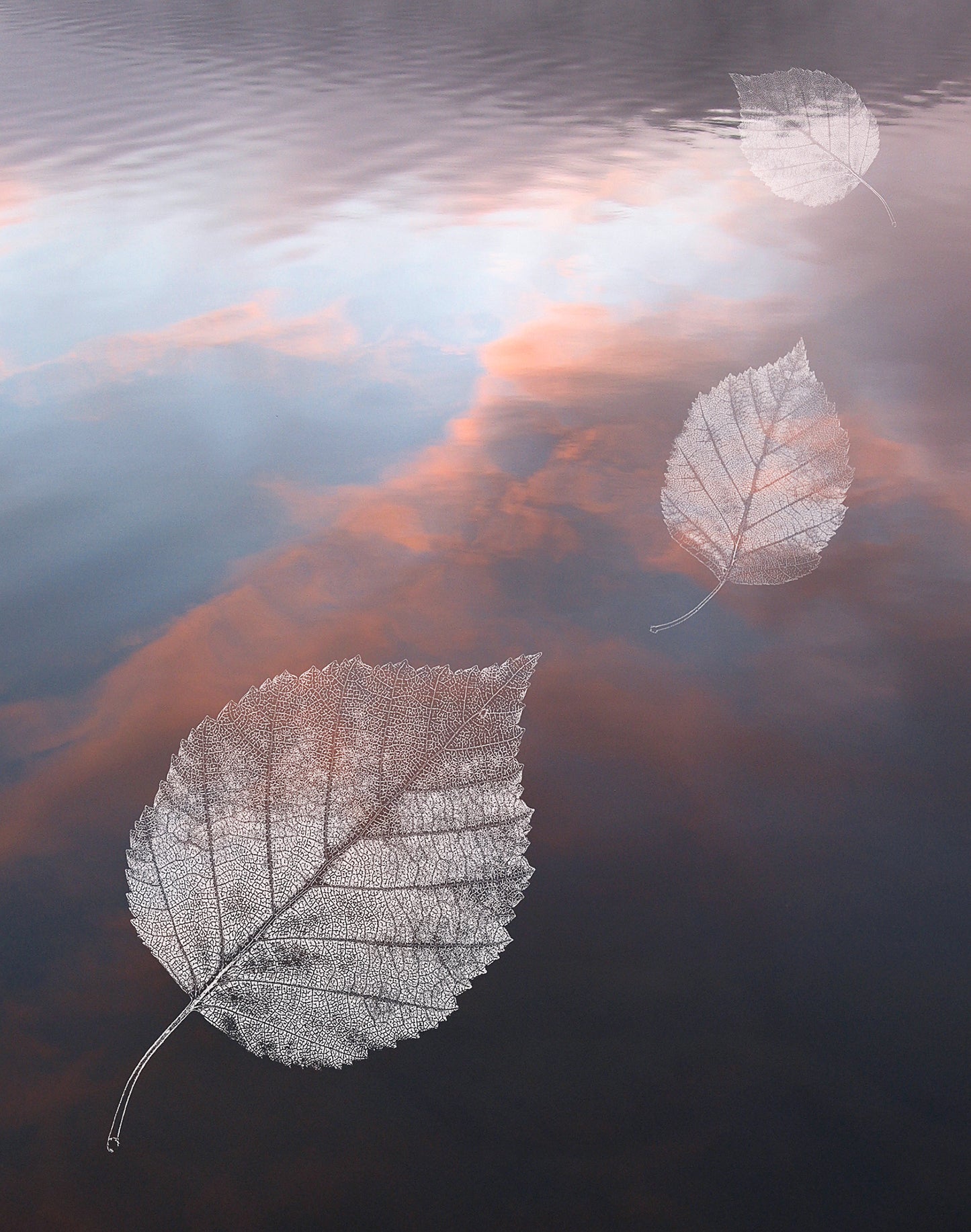 Impermanence #8