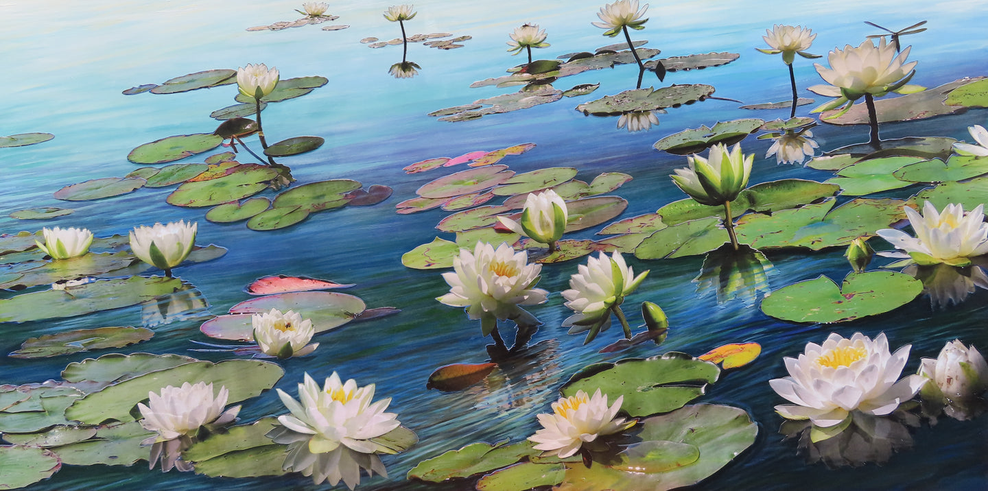 Lilies of the Lake