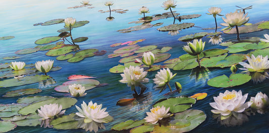 Lilies of the Lake