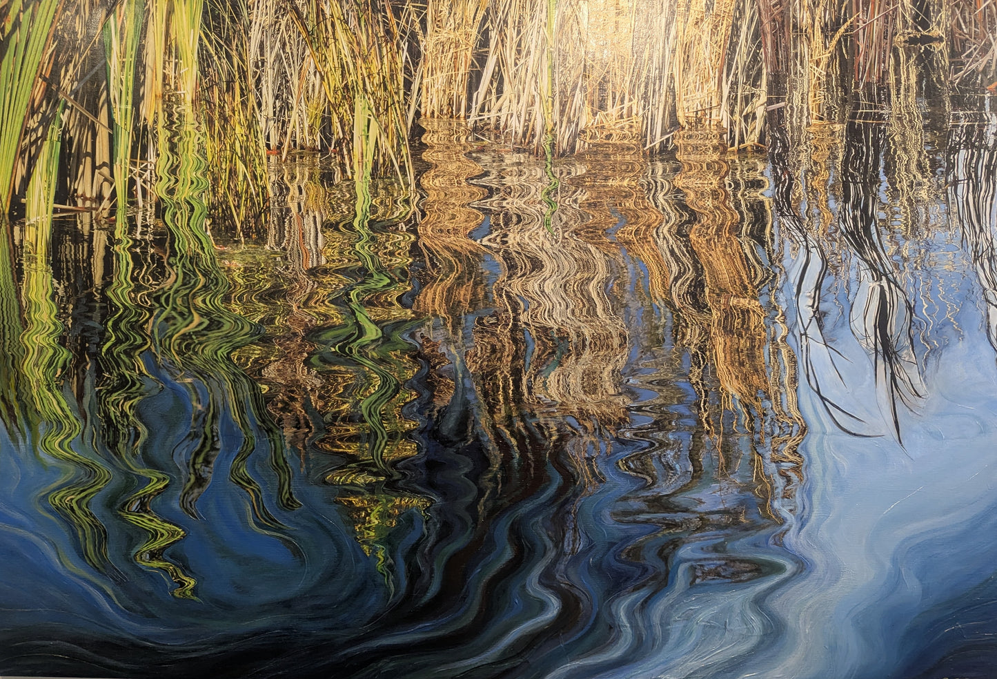 Marsh Reflections