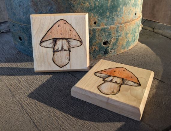 Coasters Mushrooms
