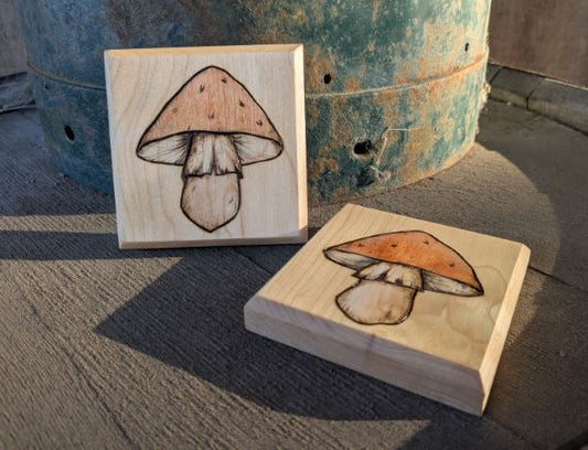 Coasters Mushrooms