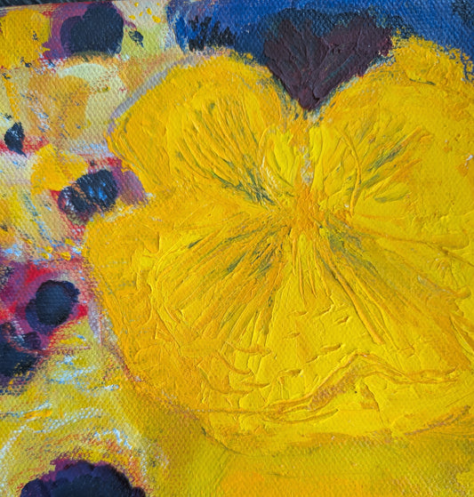 Pansy