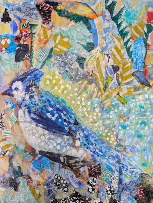 Blue Jay Study