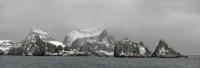 Penguin Colony in the South Shetlands