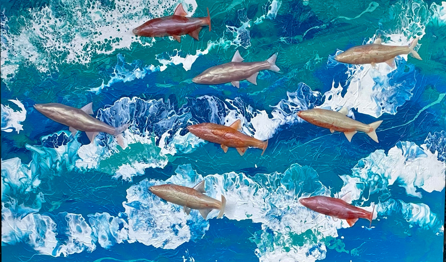 Salmon: Sea to Stream