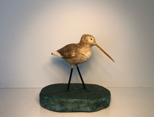 Shore Bird in Water