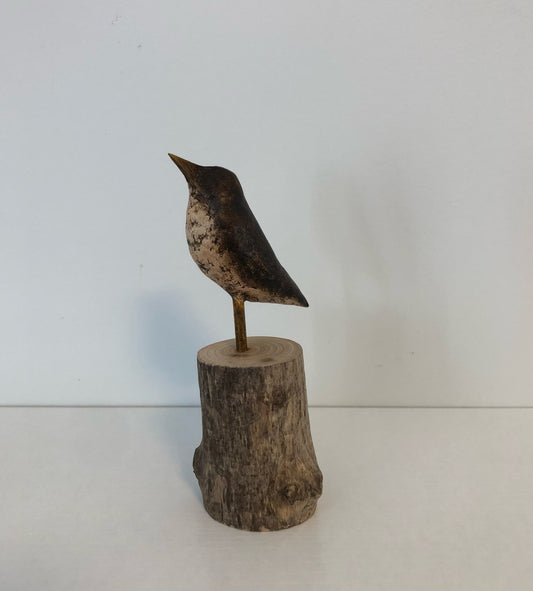 Small Brown Bird