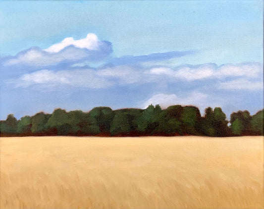 Summer Sky