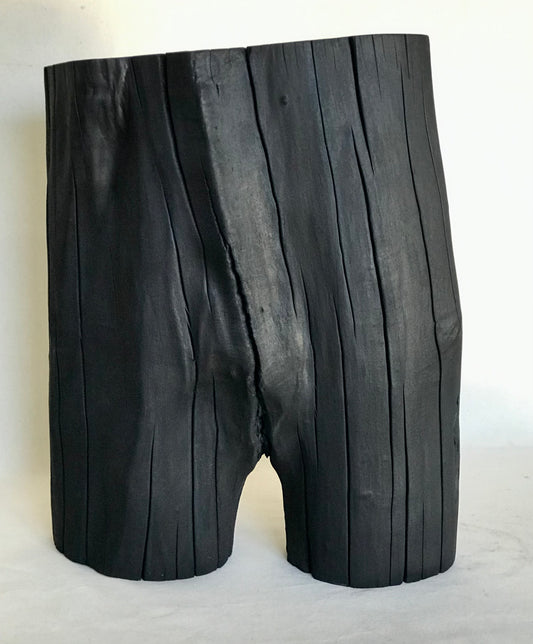 Torso