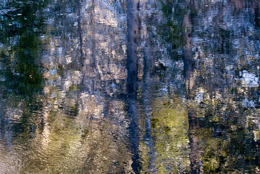 York River Reflections