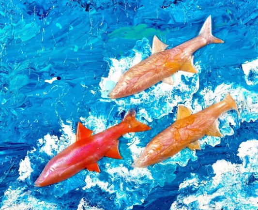 Salmon Run
