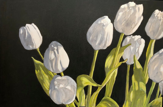 White Tulip Study